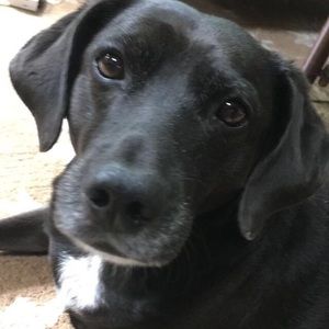 OFFERS WELCOME!!😄☺️